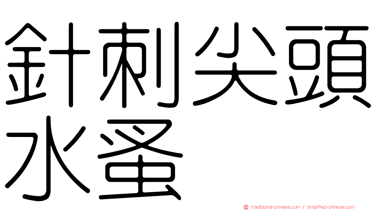 針刺尖頭水蚤