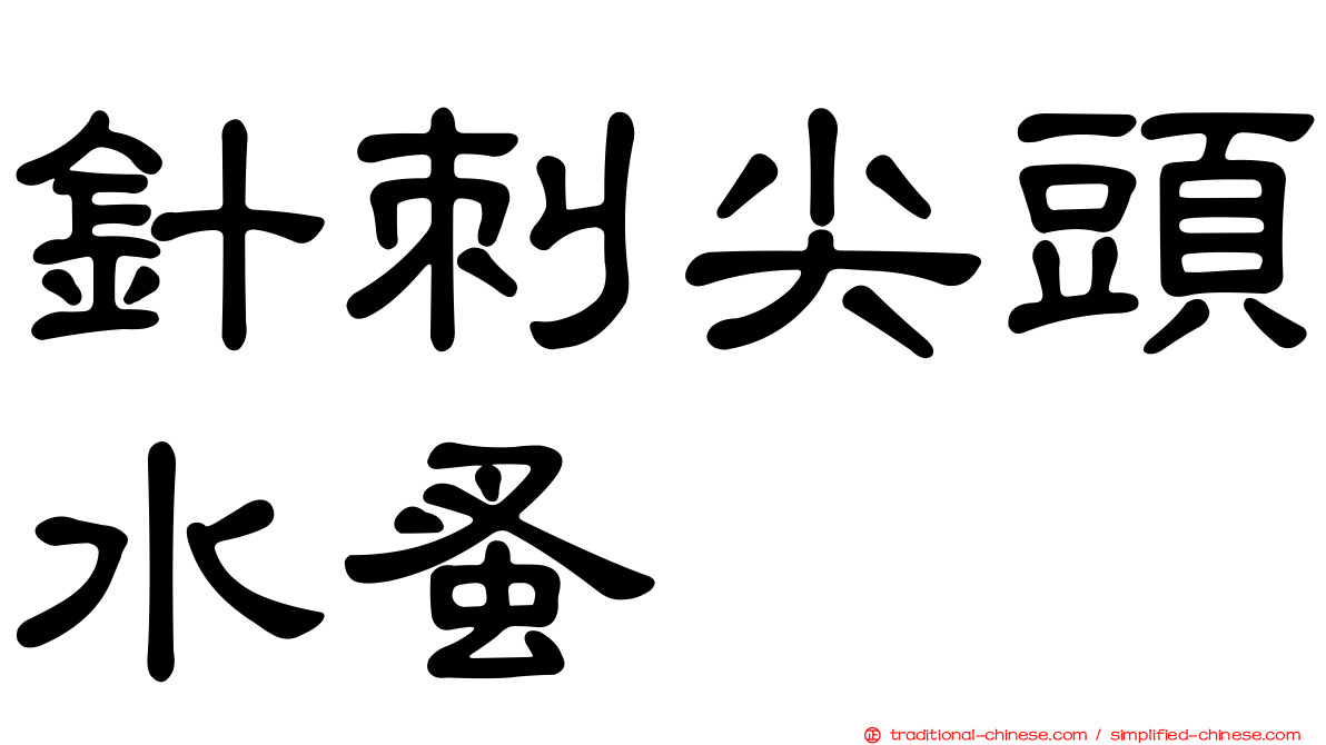 針刺尖頭水蚤