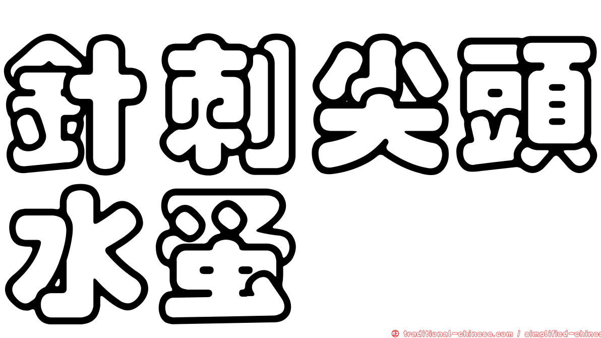 針刺尖頭水蚤
