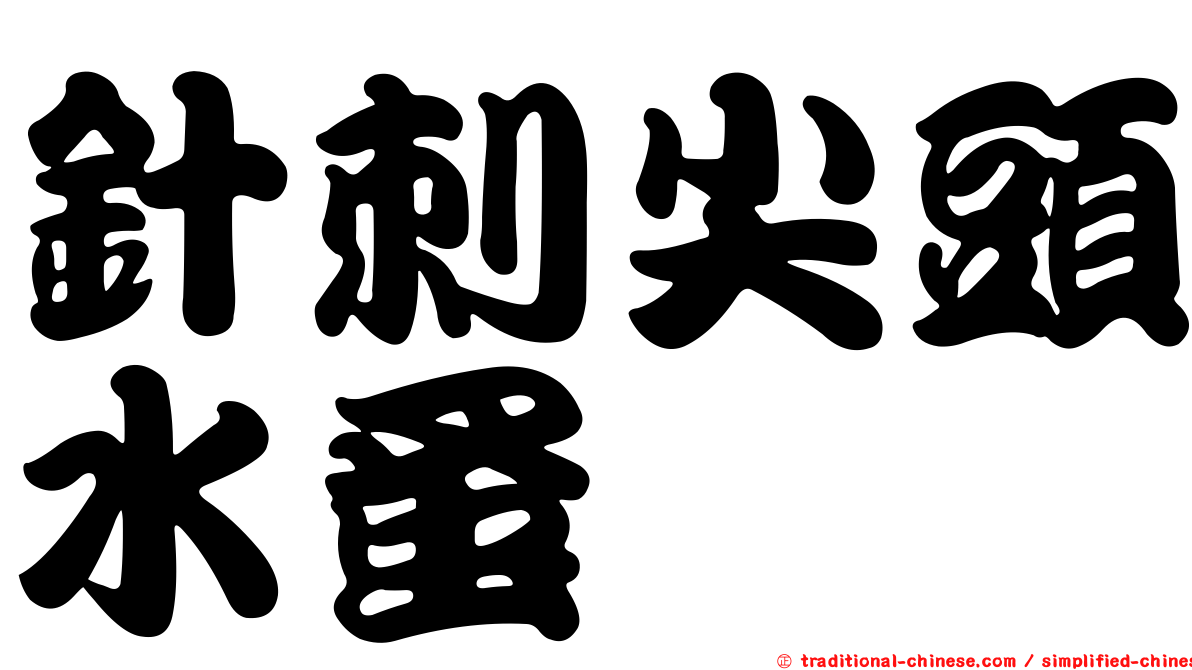 針刺尖頭水蚤