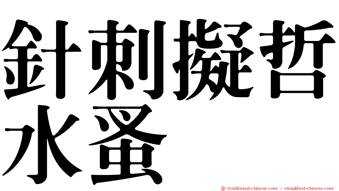 針刺擬哲水蚤