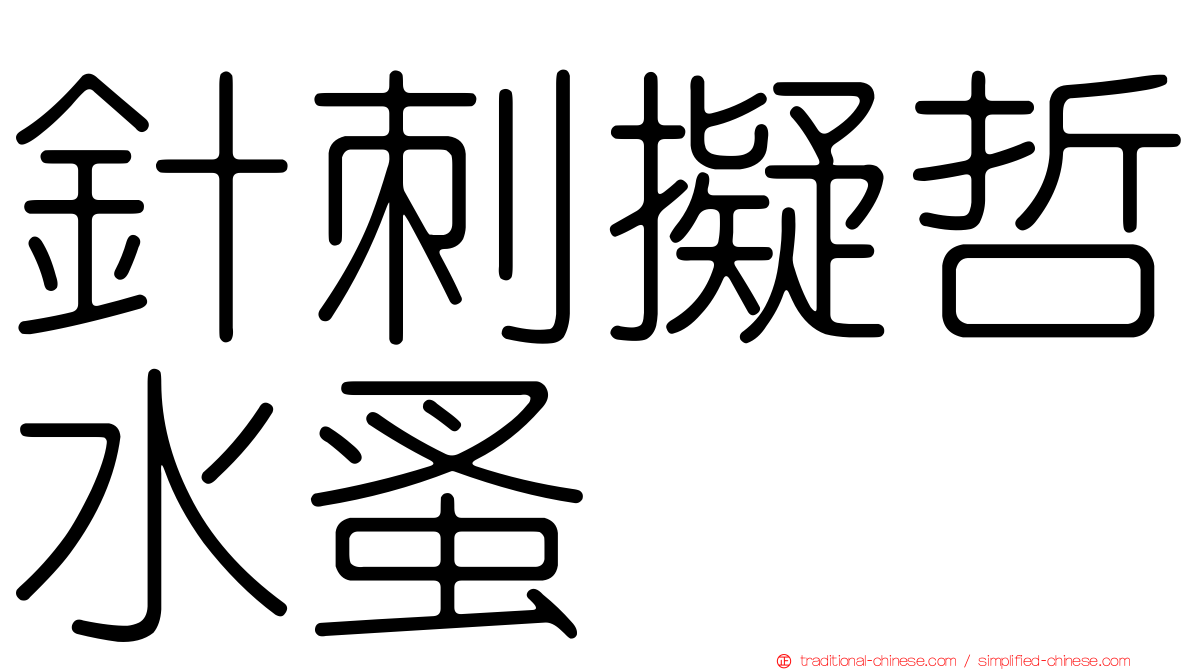 針刺擬哲水蚤