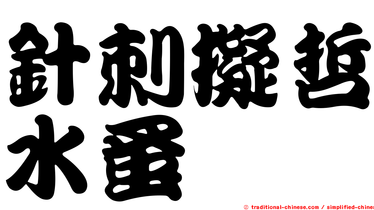 針刺擬哲水蚤