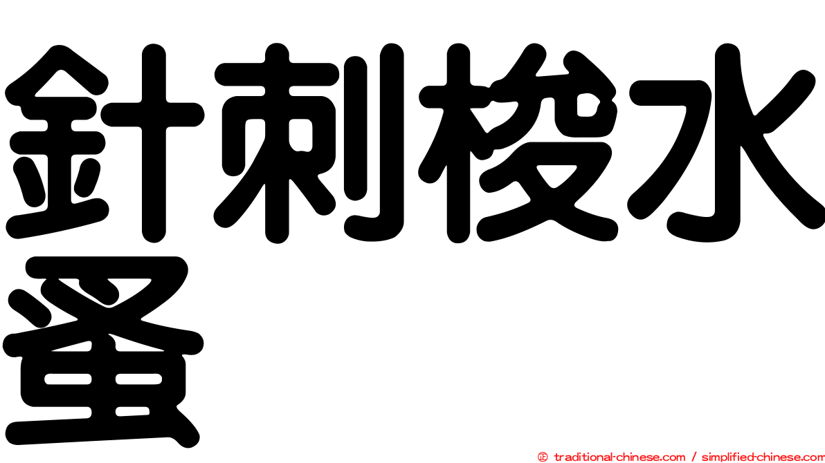 針刺梭水蚤