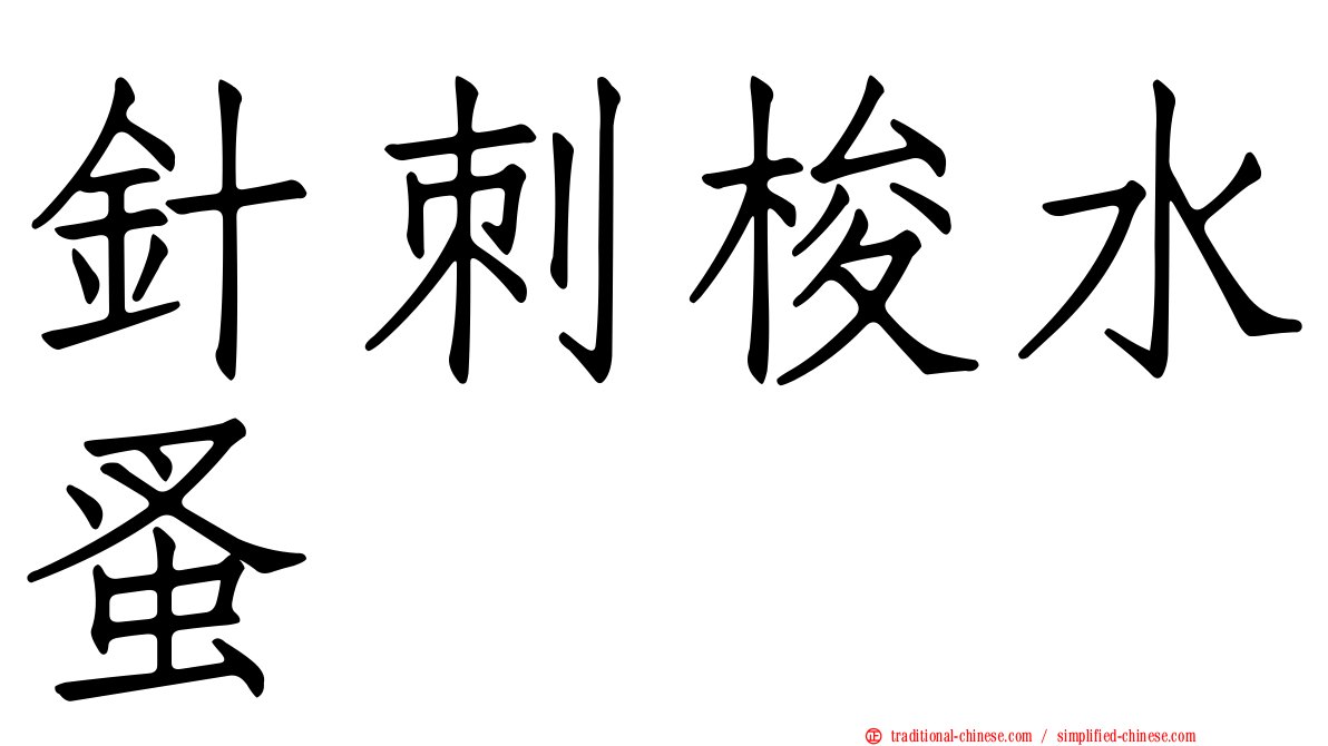 針刺梭水蚤