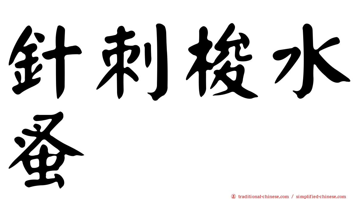 針刺梭水蚤