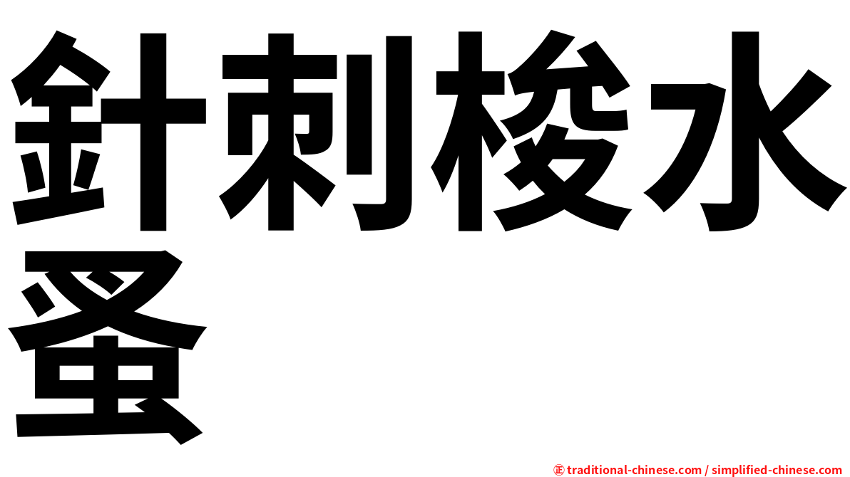 針刺梭水蚤