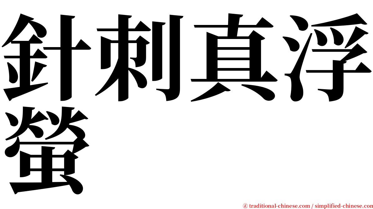 針刺真浮螢 serif font