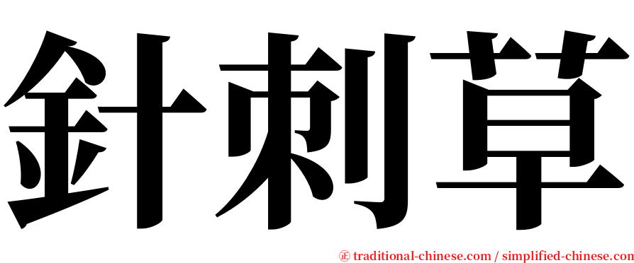 針刺草 serif font