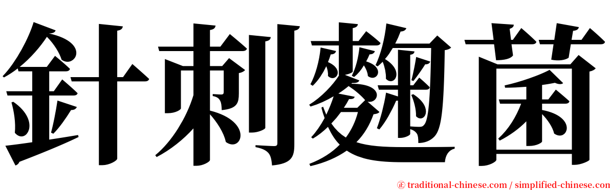 針刺麴菌 serif font