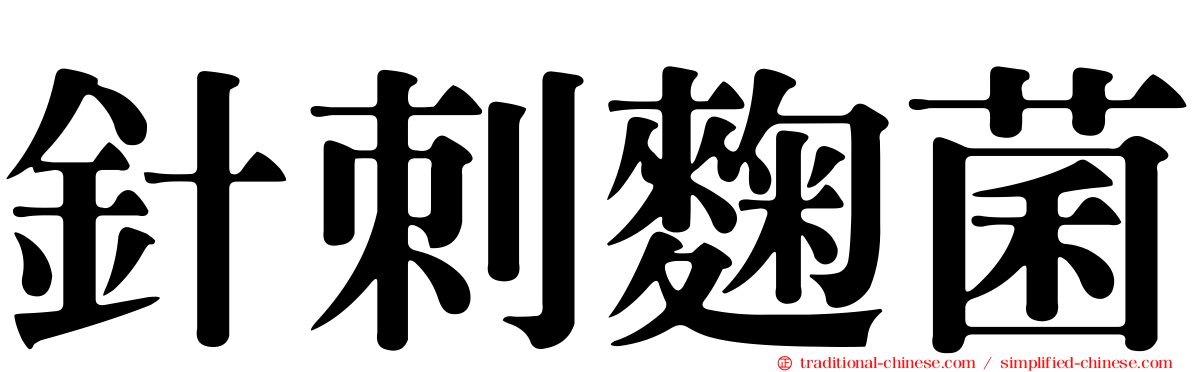 針刺麴菌
