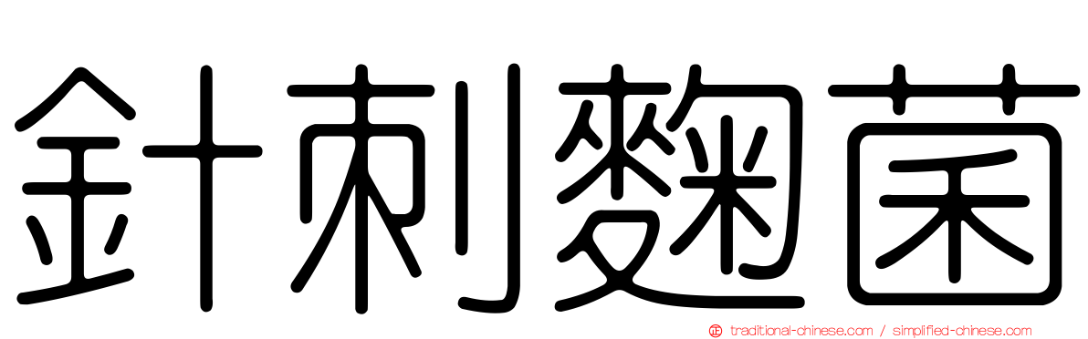 針刺麴菌