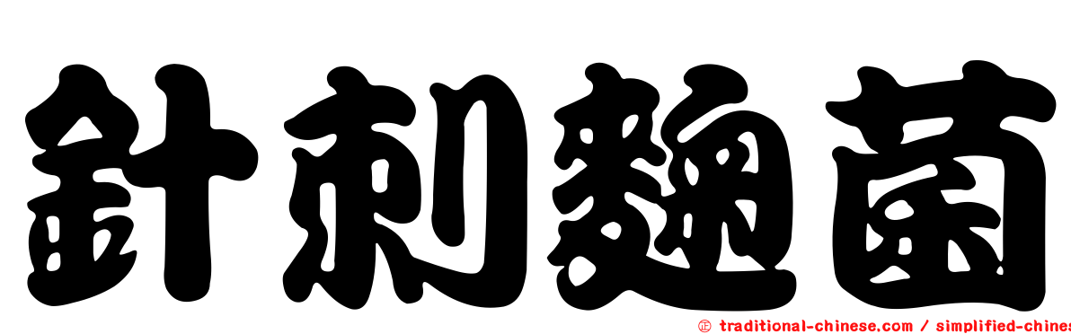 針刺麴菌