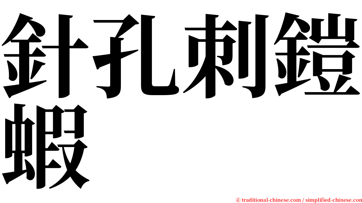 針孔刺鎧蝦 serif font