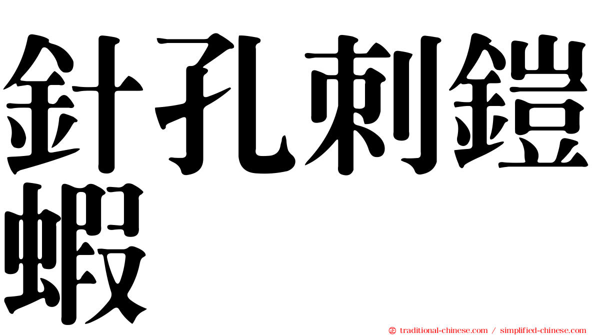 針孔刺鎧蝦