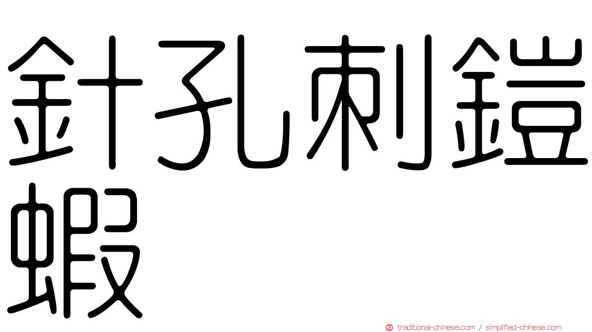 針孔刺鎧蝦