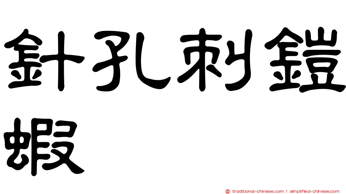 針孔刺鎧蝦