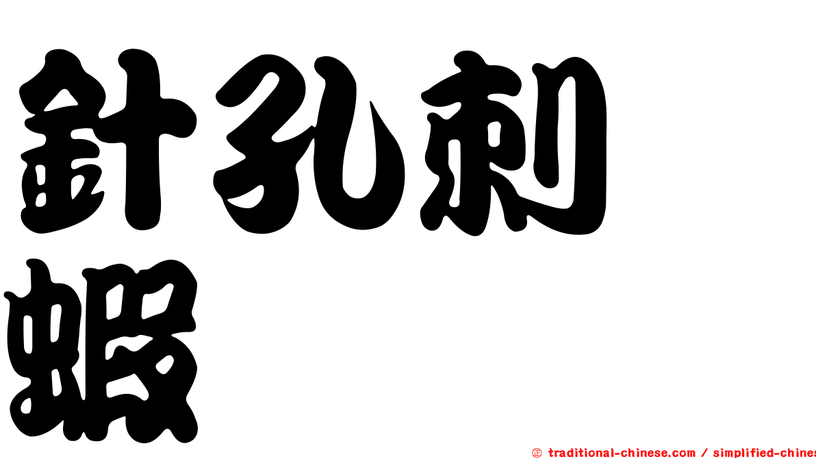 針孔刺鎧蝦