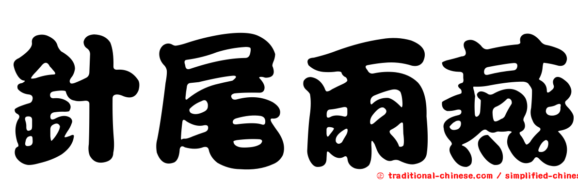 針尾雨燕