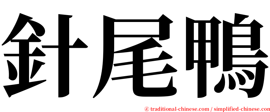 針尾鴨 serif font