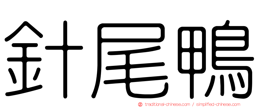 針尾鴨
