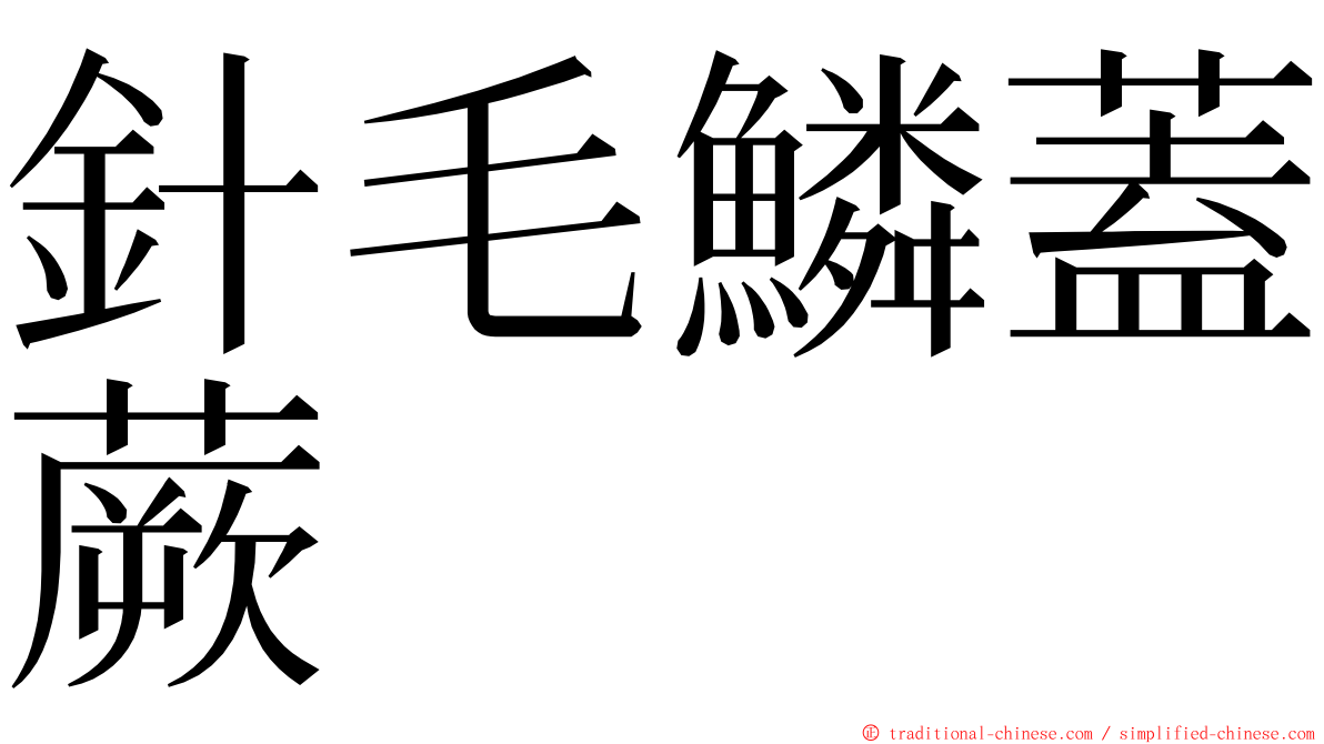 針毛鱗蓋蕨 ming font