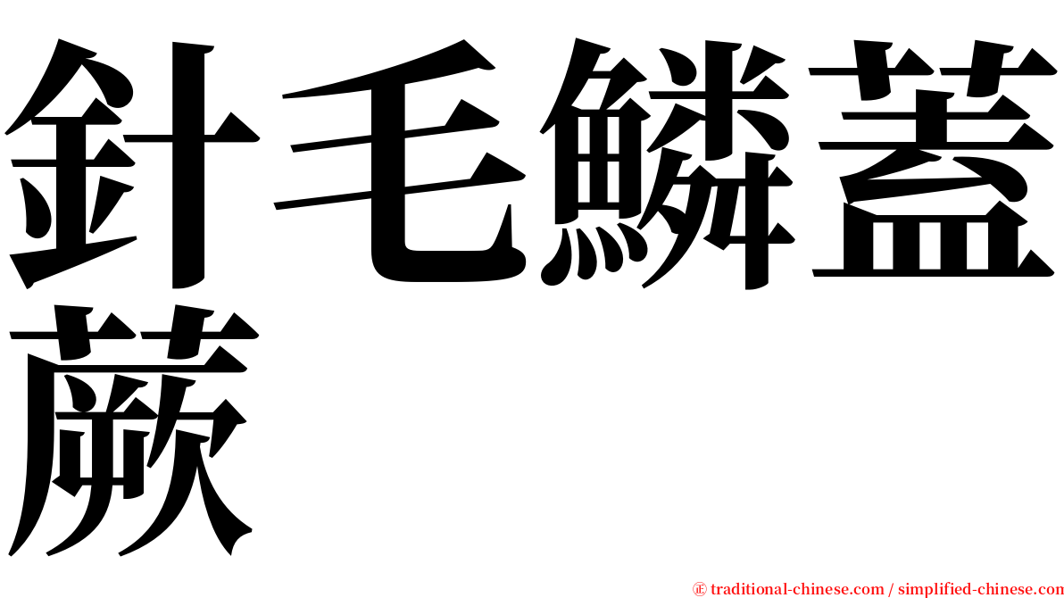 針毛鱗蓋蕨 serif font