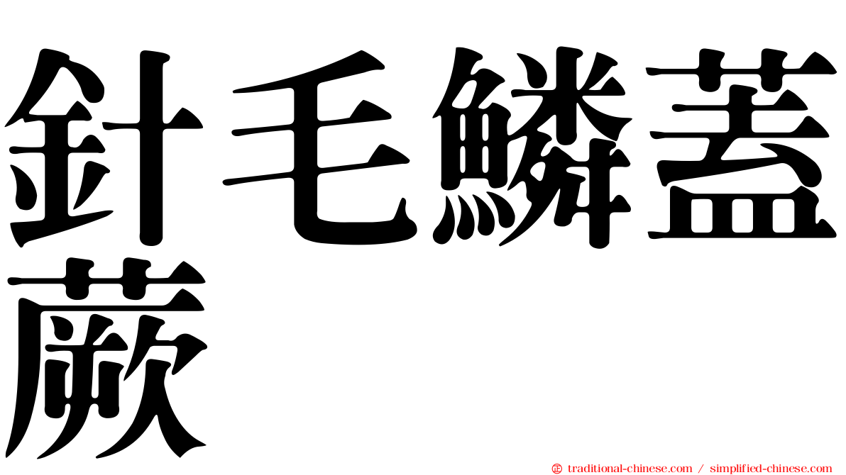 針毛鱗蓋蕨
