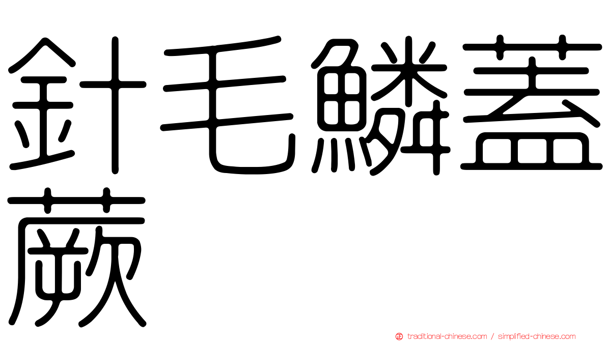 針毛鱗蓋蕨