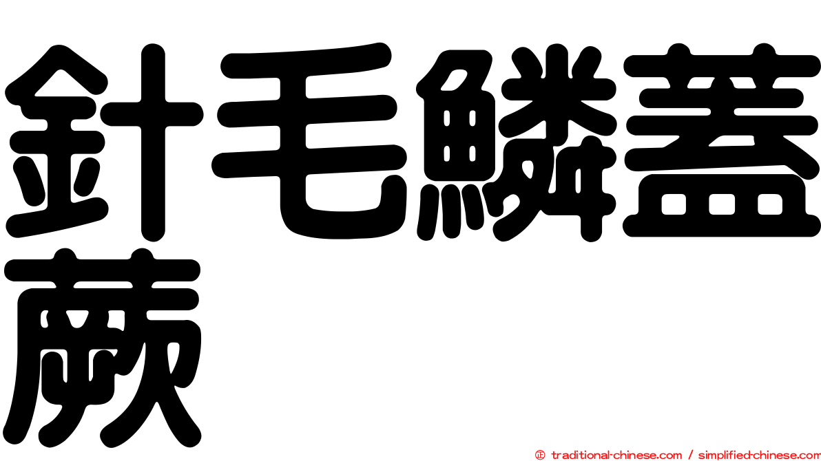 針毛鱗蓋蕨