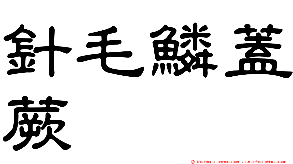 針毛鱗蓋蕨