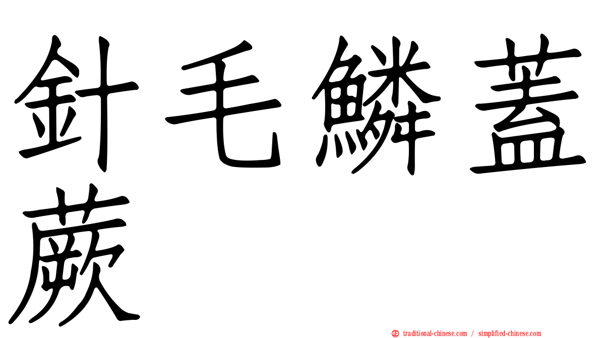 針毛鱗蓋蕨