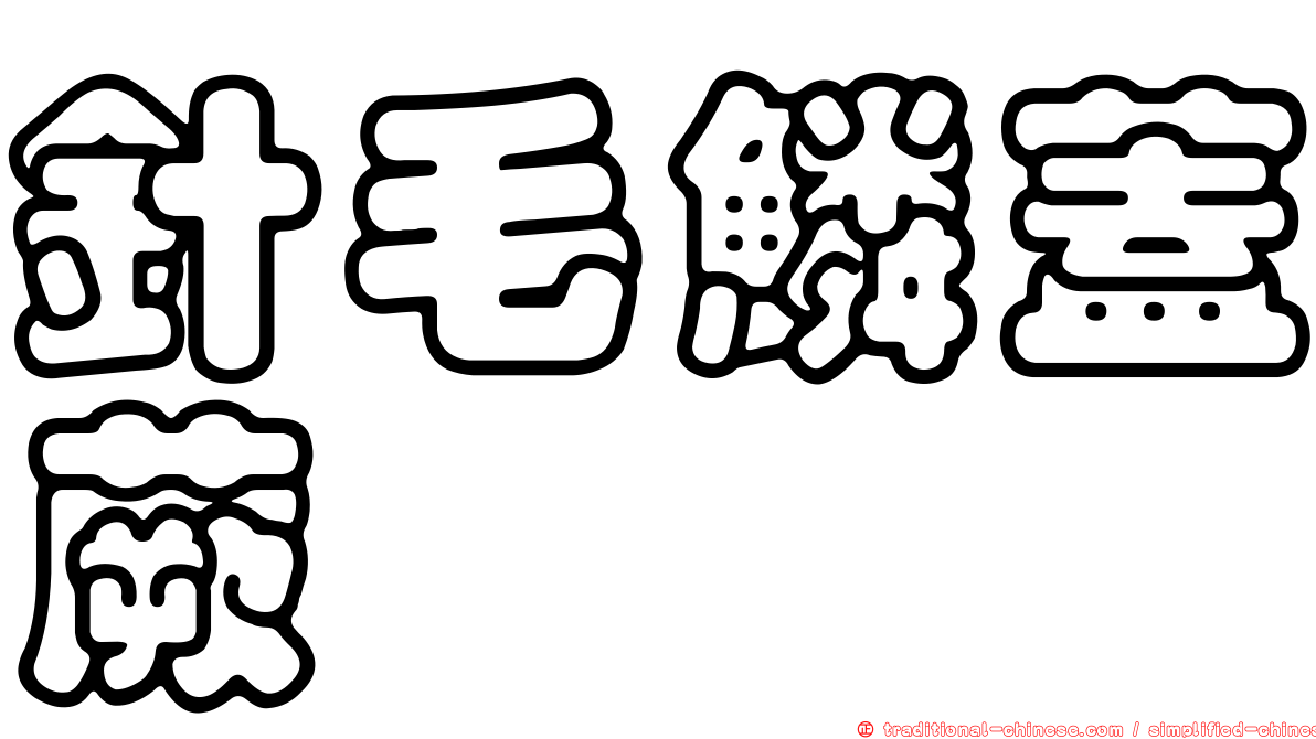 針毛鱗蓋蕨