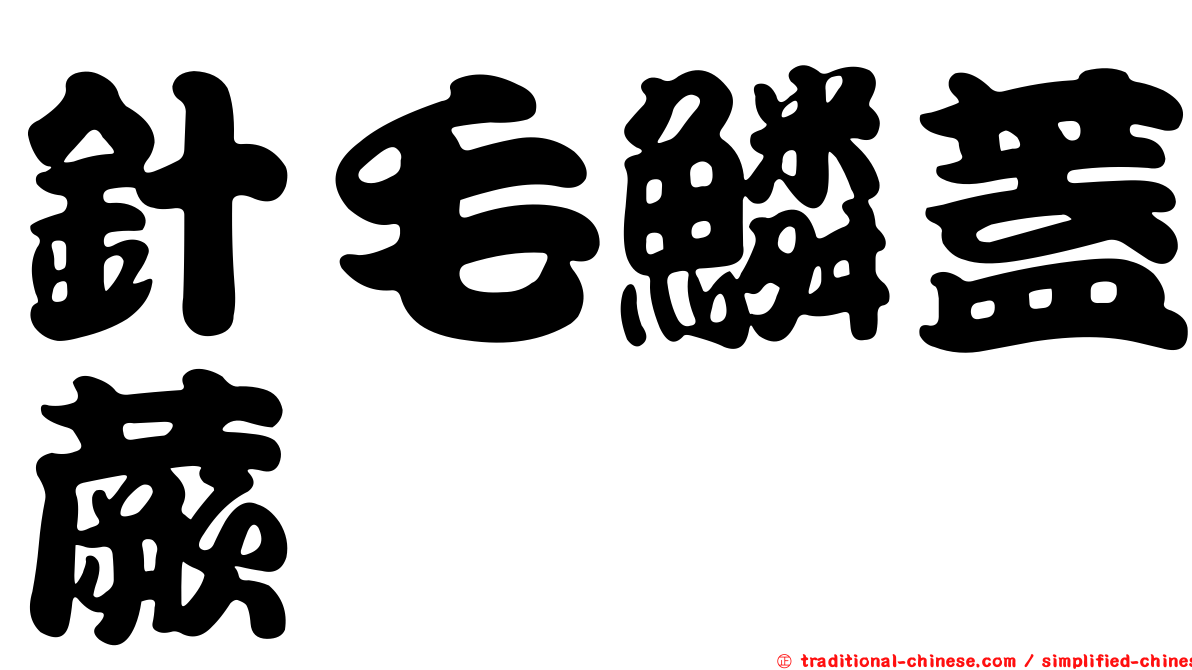 針毛鱗蓋蕨