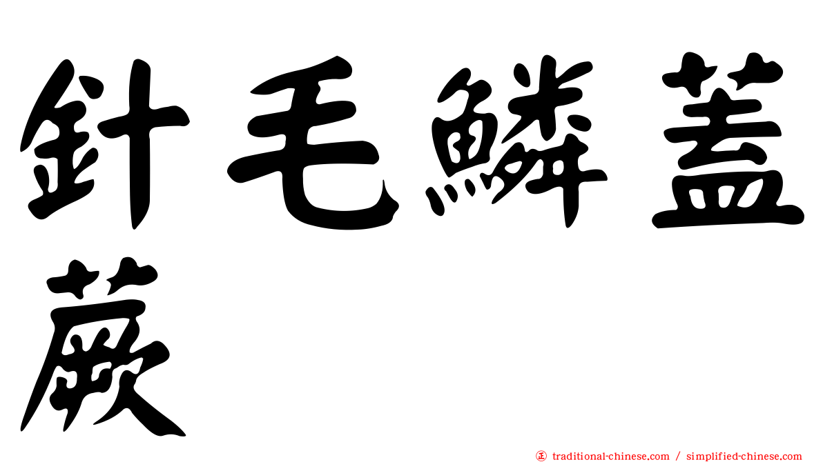 針毛鱗蓋蕨