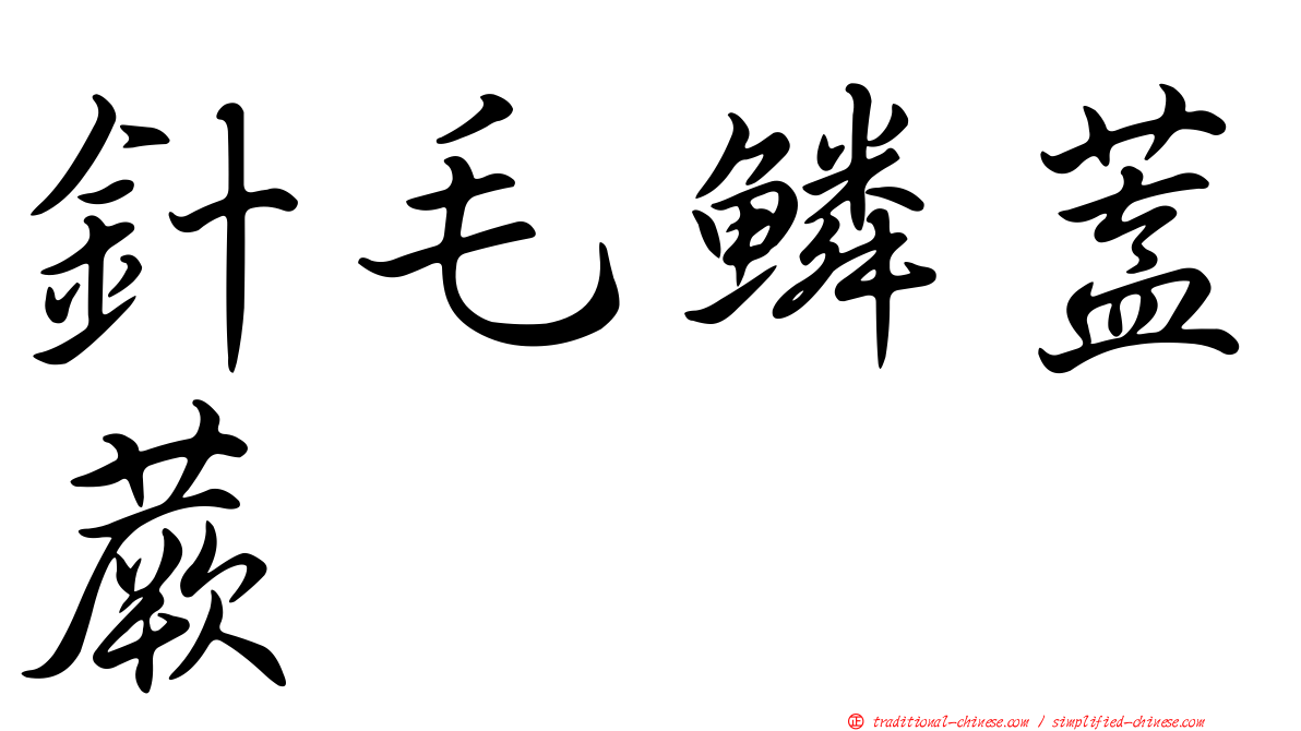針毛鱗蓋蕨