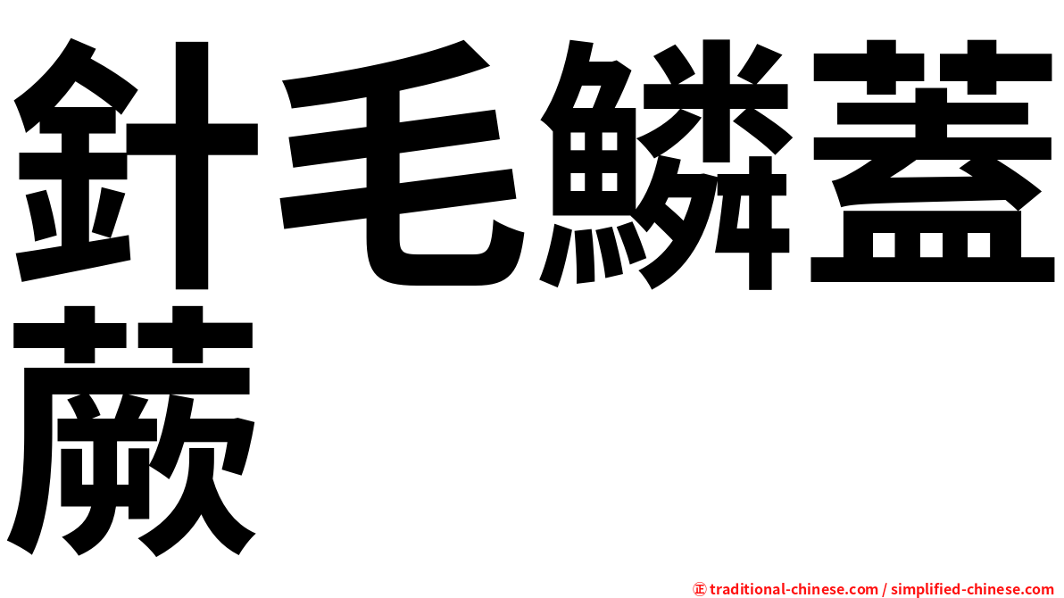針毛鱗蓋蕨