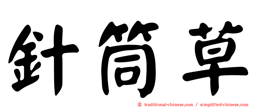 針筒草