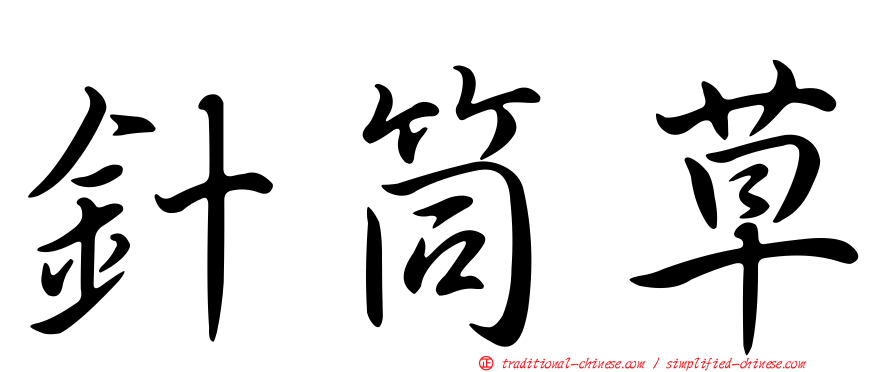 針筒草