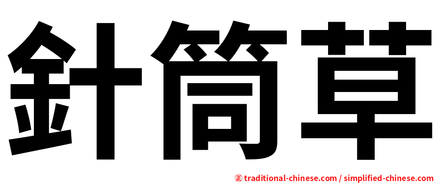 針筒草