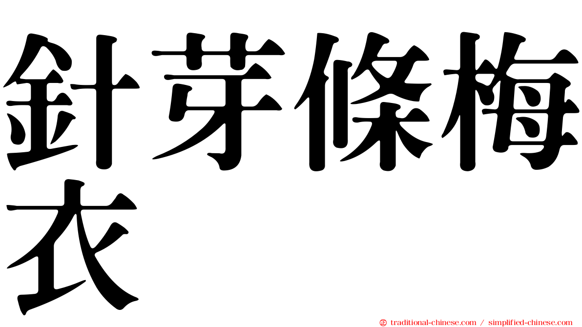 針芽條梅衣