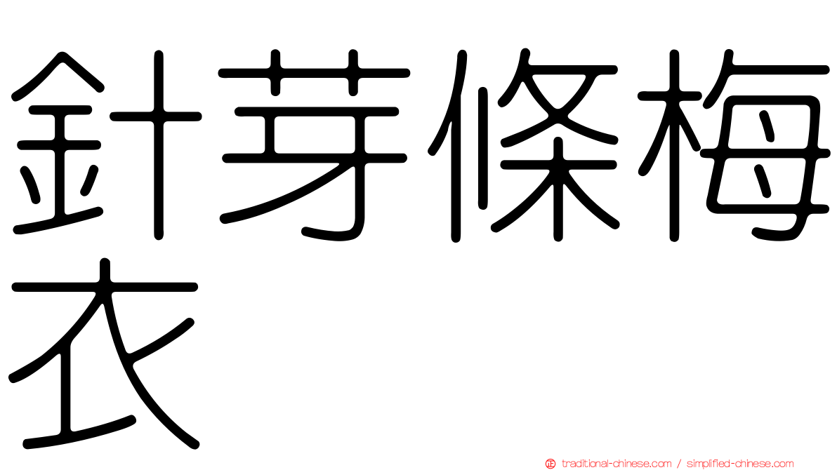 針芽條梅衣