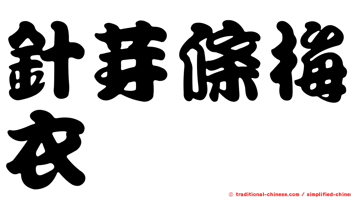 針芽條梅衣