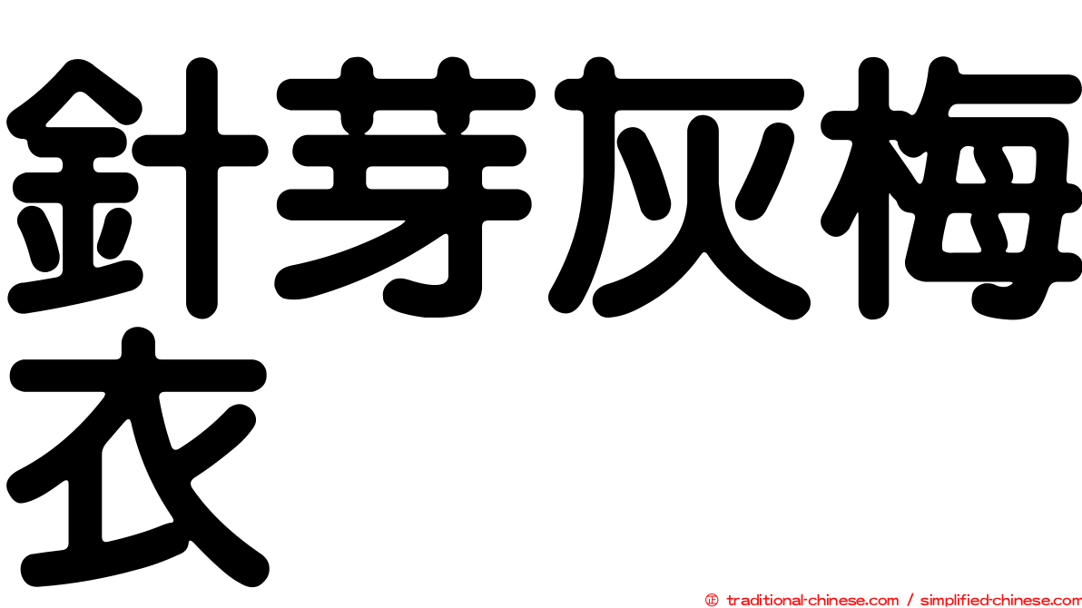 針芽灰梅衣