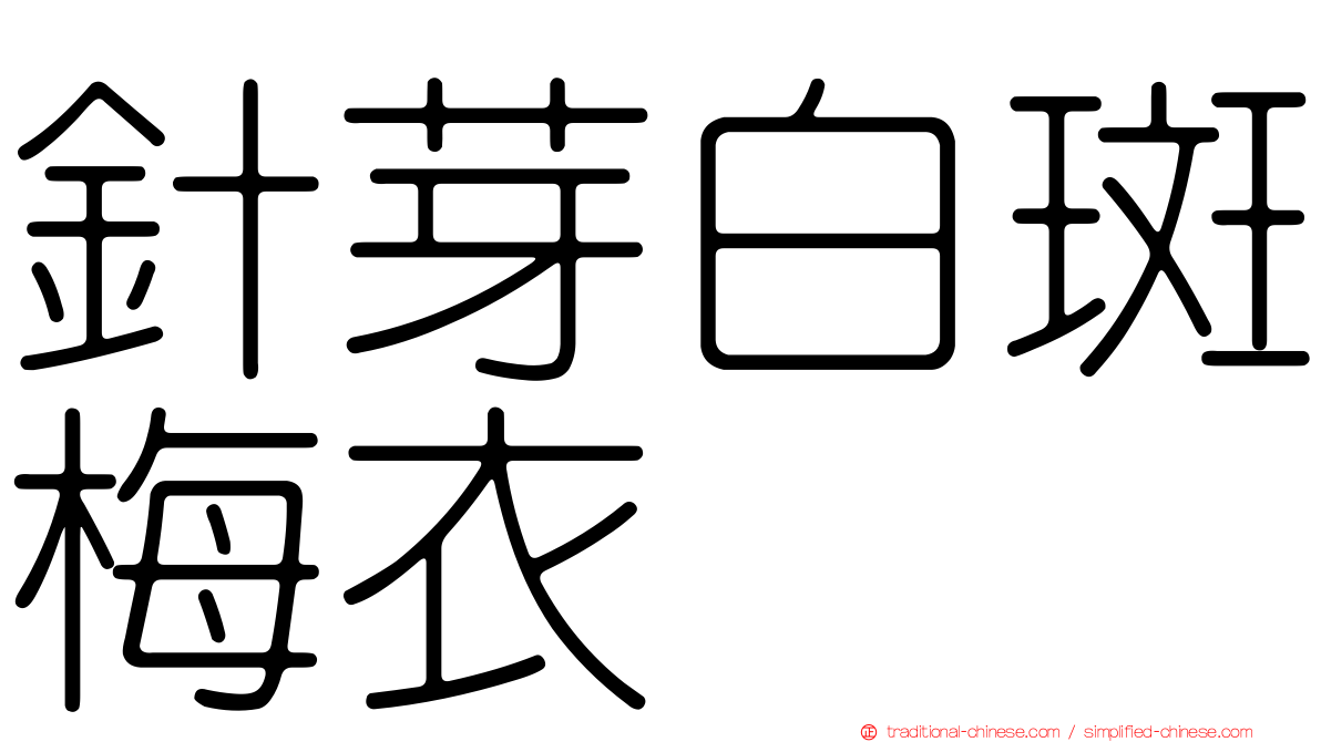 針芽白斑梅衣