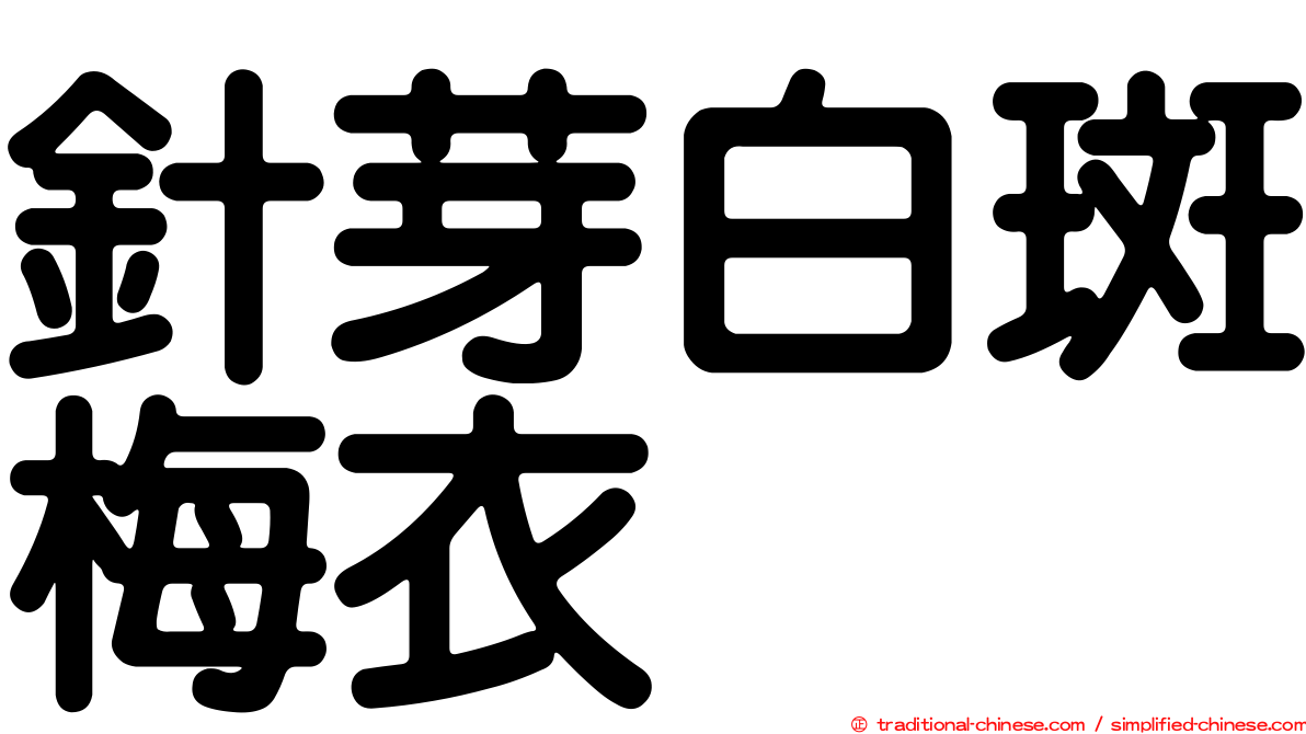 針芽白斑梅衣
