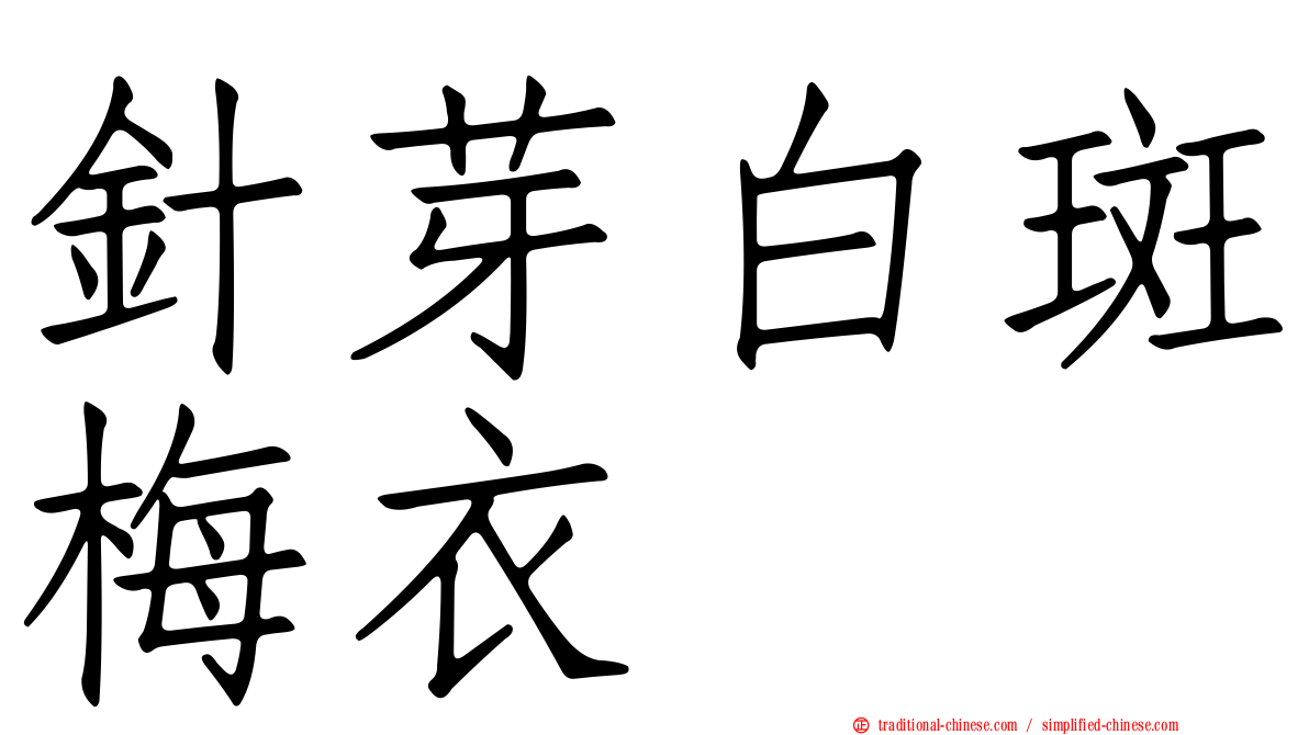 針芽白斑梅衣