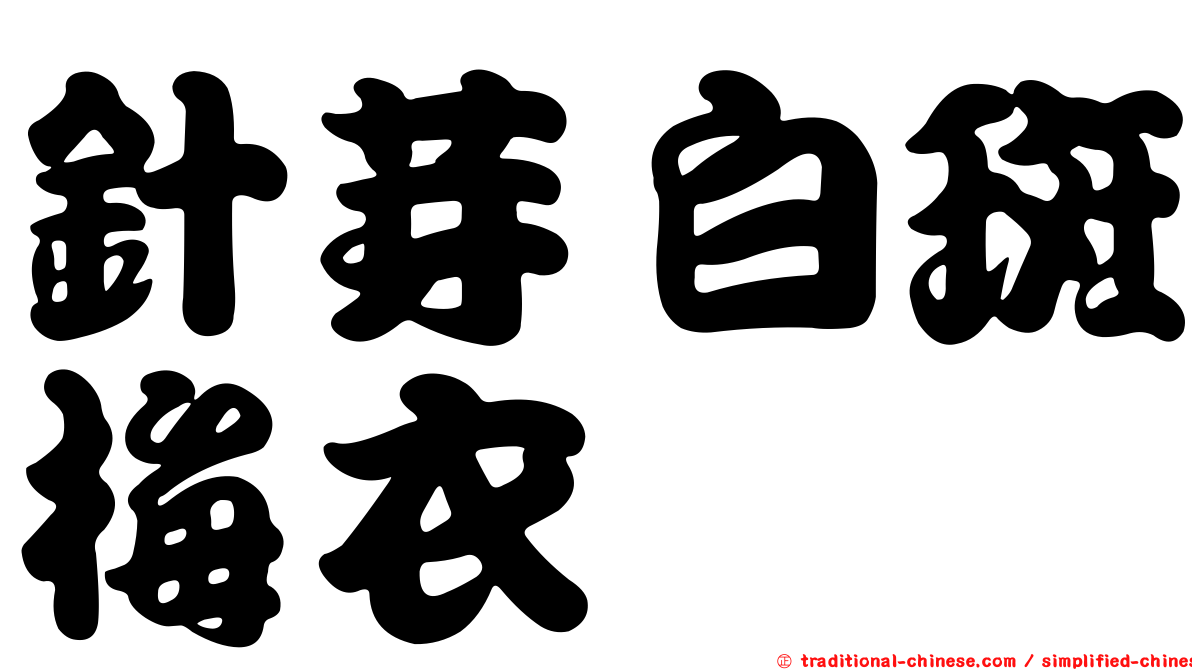 針芽白斑梅衣