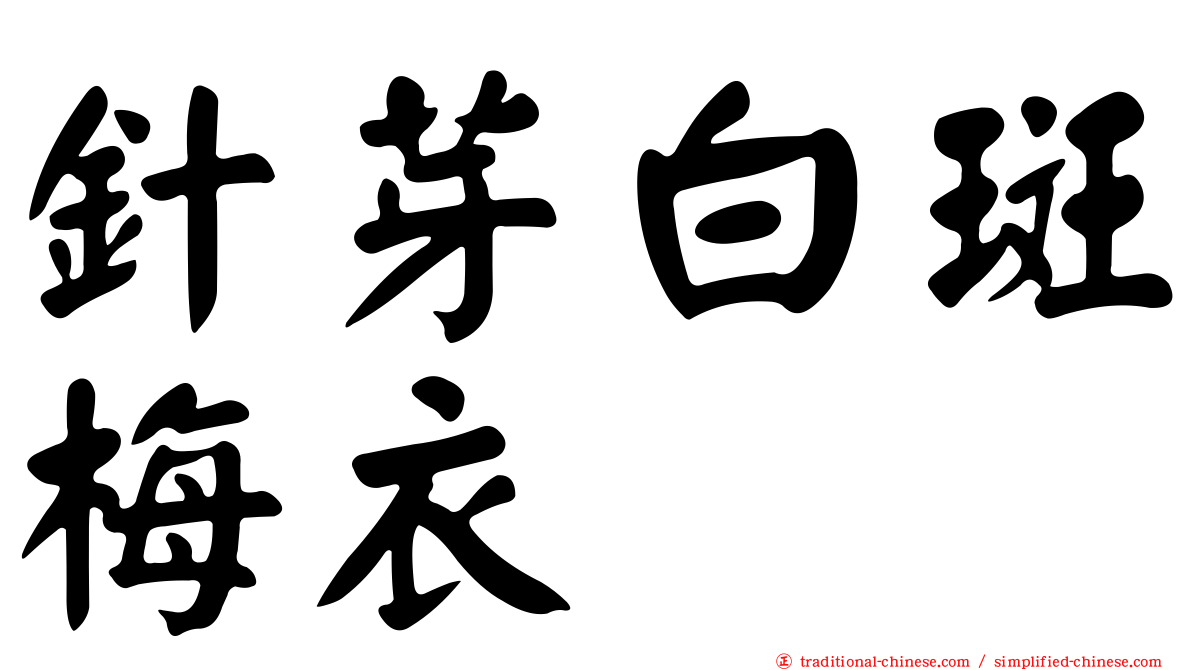 針芽白斑梅衣