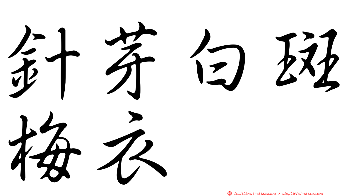 針芽白斑梅衣